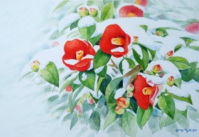 눈 속의 동백 Camellia in The Snow (2000)_ 수채, 45 x 31 cm